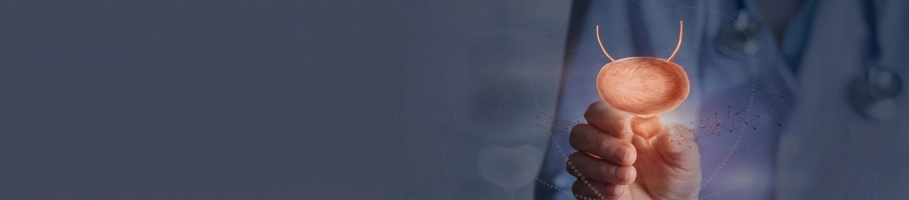 리줌 특징 배경